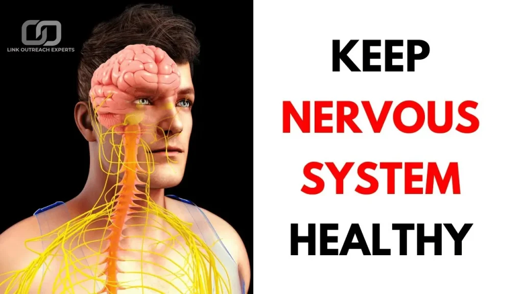 keep nervous system healthy