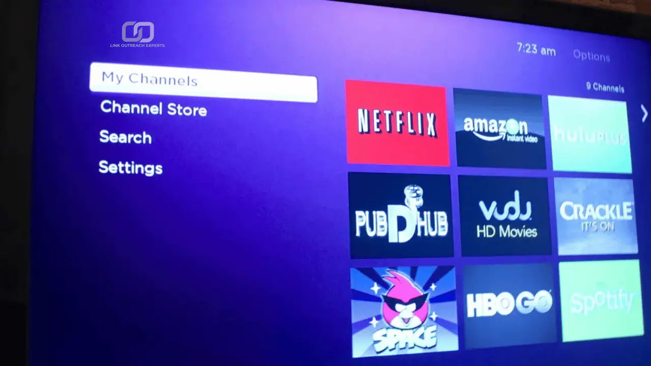 How to Cancel Netflix on Roku