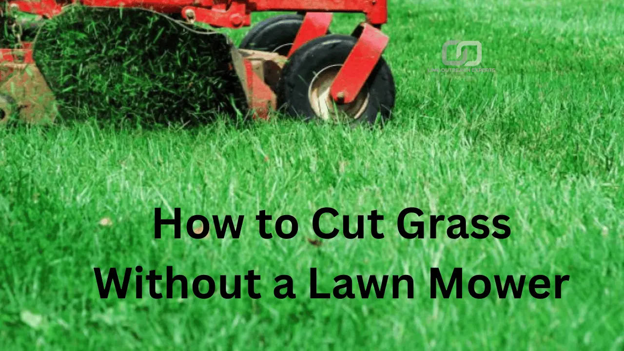 How to Cut Grass Without a Lawn Mower